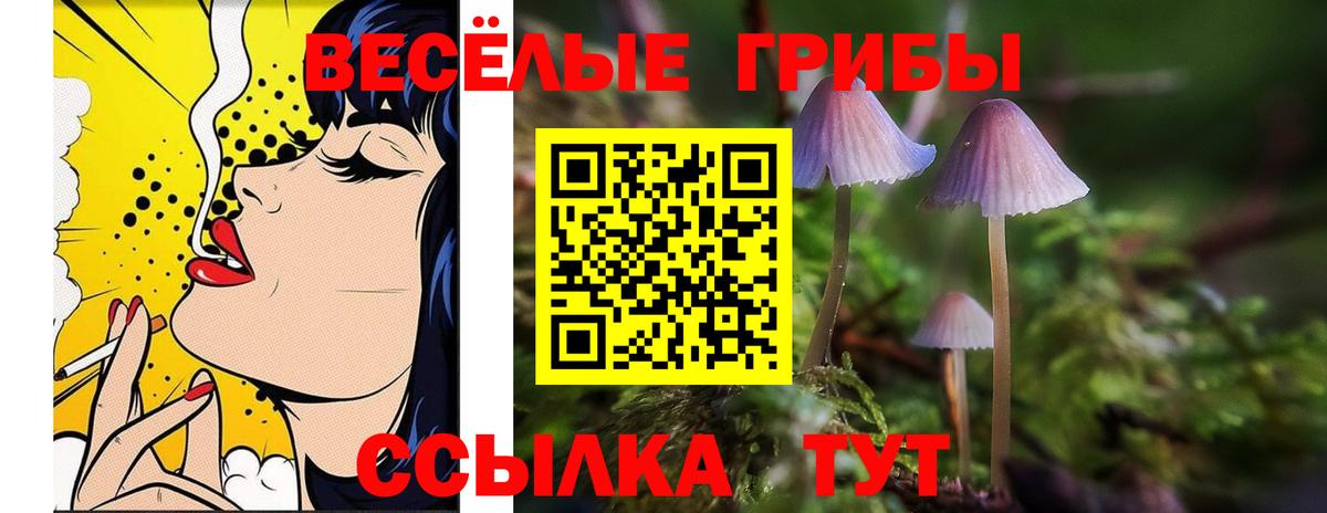 Галлюциногенные грибы Psilocybine cubensis  Вход с VPN  Псилоцибиновые грибы Magic Shrooms  Саранск 
